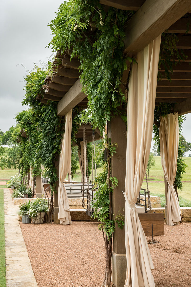 Vines on a pavilion